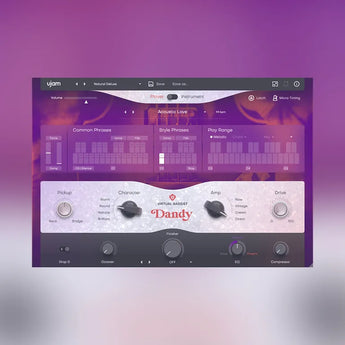 UJAM DANDY