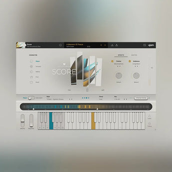 UJAM SCORE