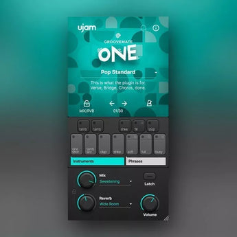 UJAM Groovemate ONE