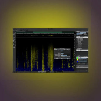SpectraLayers Pro 13 Full Version 365