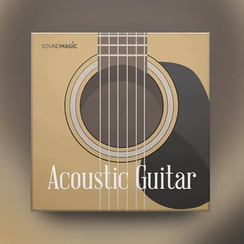 Acoustic Guitar