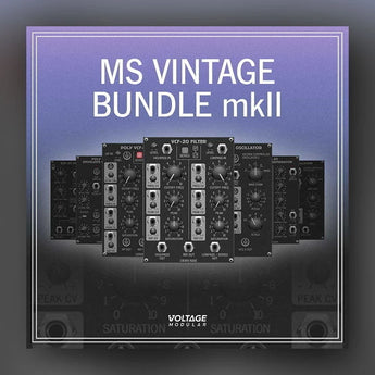 MS Vintage Bundle for VM