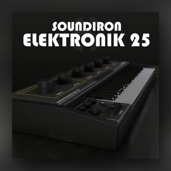 Elektronik 25