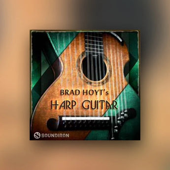 Brad Hoyt's Harp Guitar
