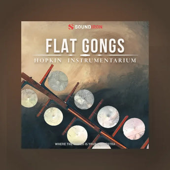 Hopkin Intrumentarium: Flat Gongs