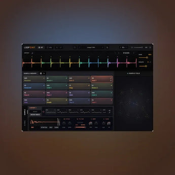 Loop 2 Kit