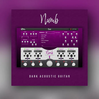 Numb - Dark Acoustic Guitar