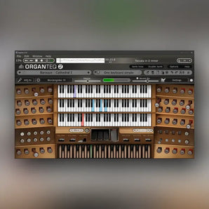 Organteq 2