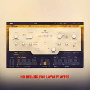 UJAM AMBER 2 Loyalty Offer