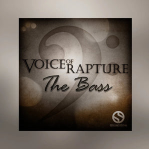 Voice of Rapture: The Bass